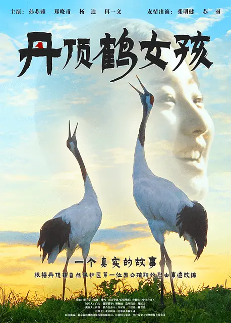 丹顶鹤女孩 (2021) 4k