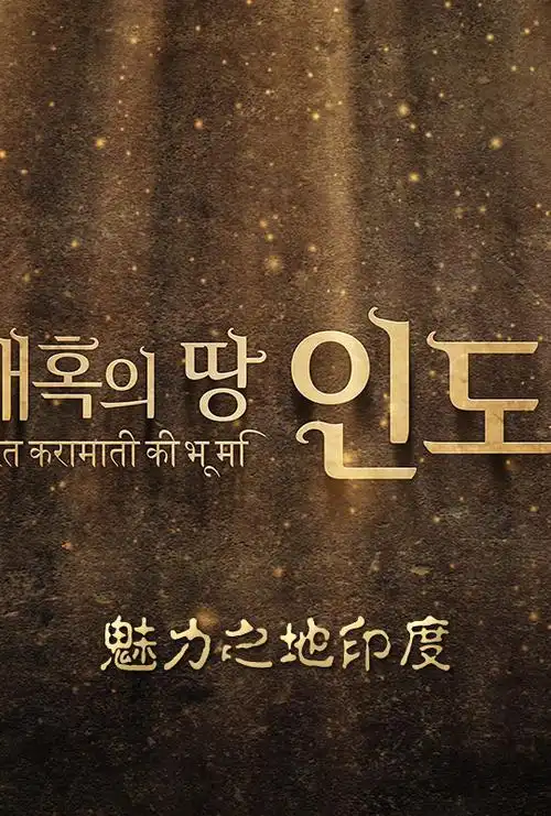 魅力之地印度 (2014) 4k