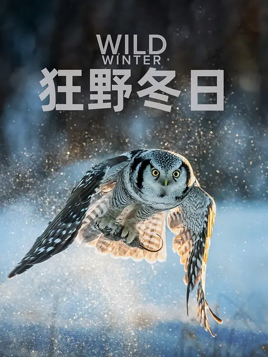 狂野冬日 第一季 (Wild Winter Season 1) (2024) 4k