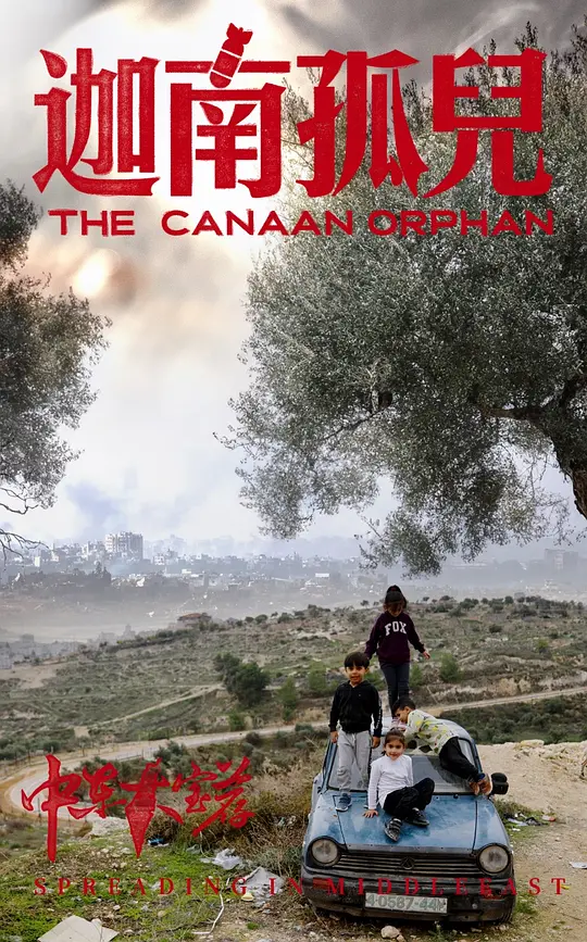 中东大宝荐2 (2024) 4k