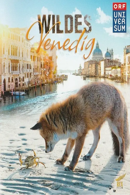 野性威尼斯 (Wild Venice) (2014) 4k