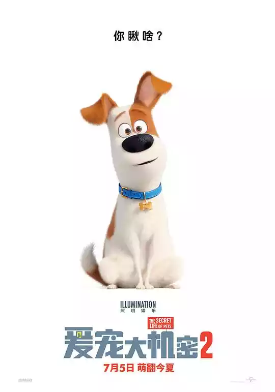 The Secret Life of Pets 2 (2019) 4k
