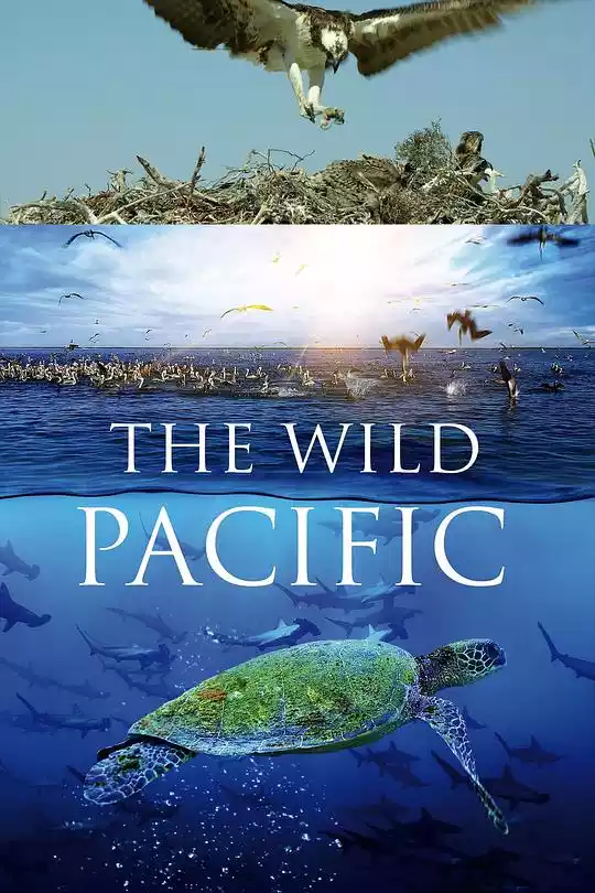 The Wild Pacific (2016) 4k