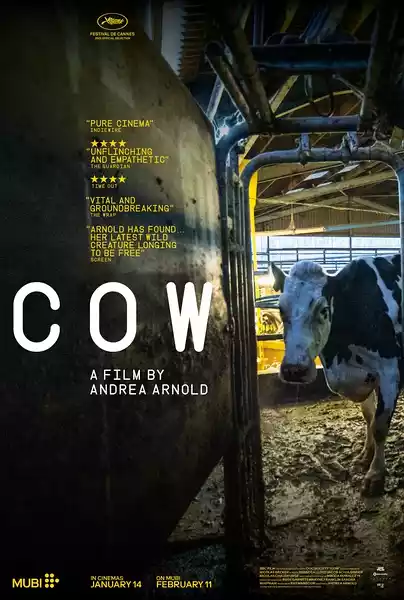 Cow (2021) 4k