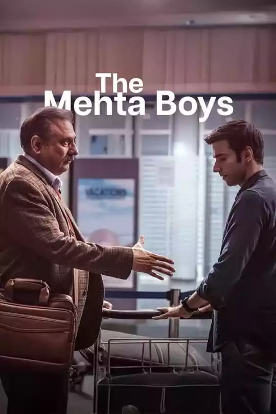 The Mehta Boys (2024) 4k