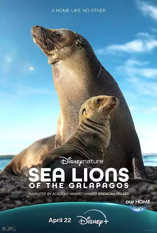 Sea Lions of the Galapagos (2025) 4k