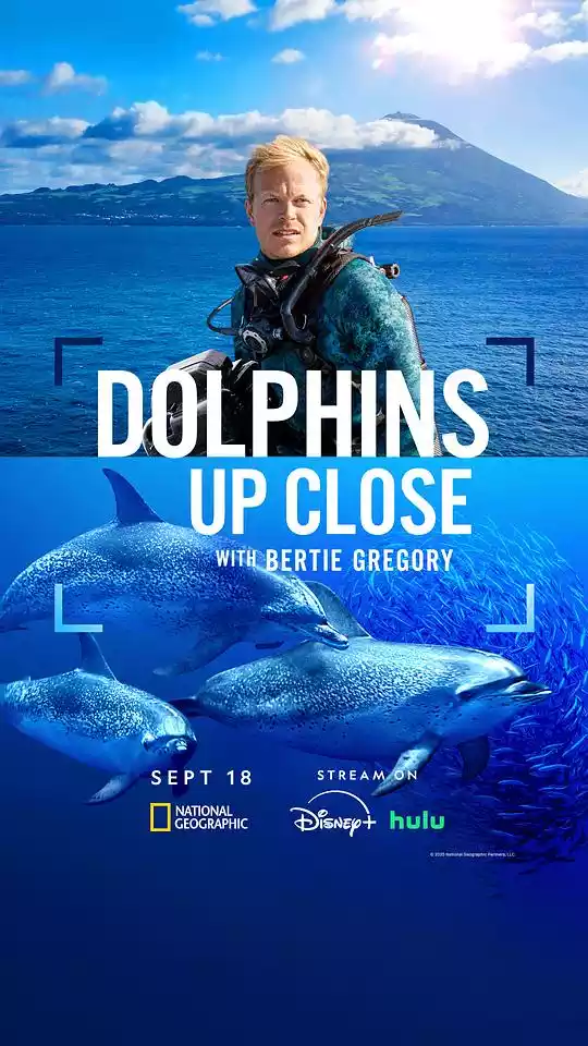 Dolphins Up Close with Bertie Gregory (2025) 4k