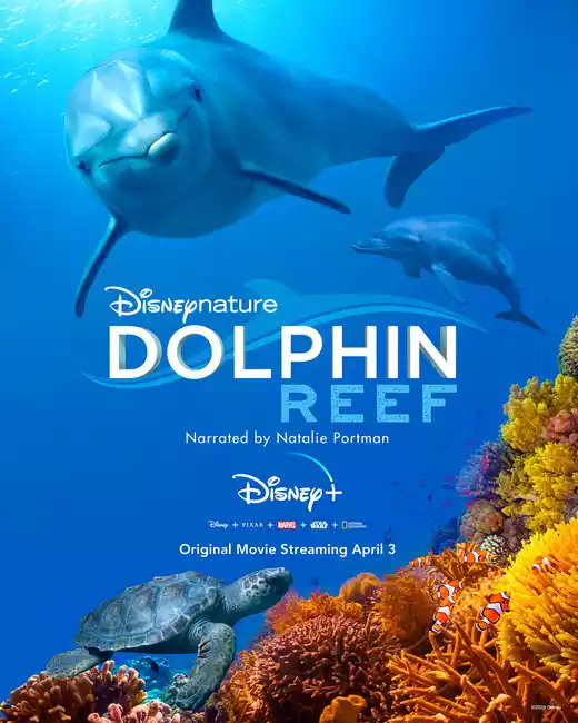 Dolphin Reef (2020) 4k