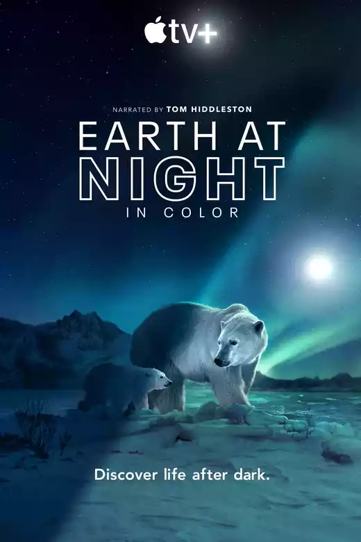 Earth at Night in Color (2020) 4k