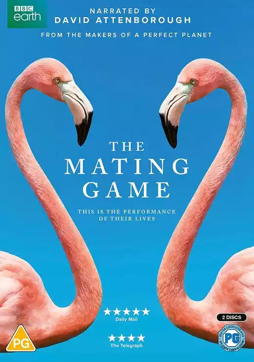 The Mating Game (2021) 4k