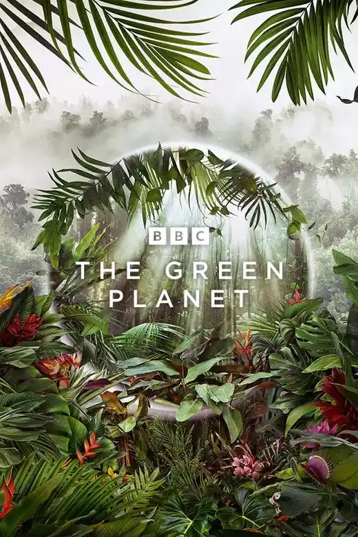 The Green Planet (2022) 4k