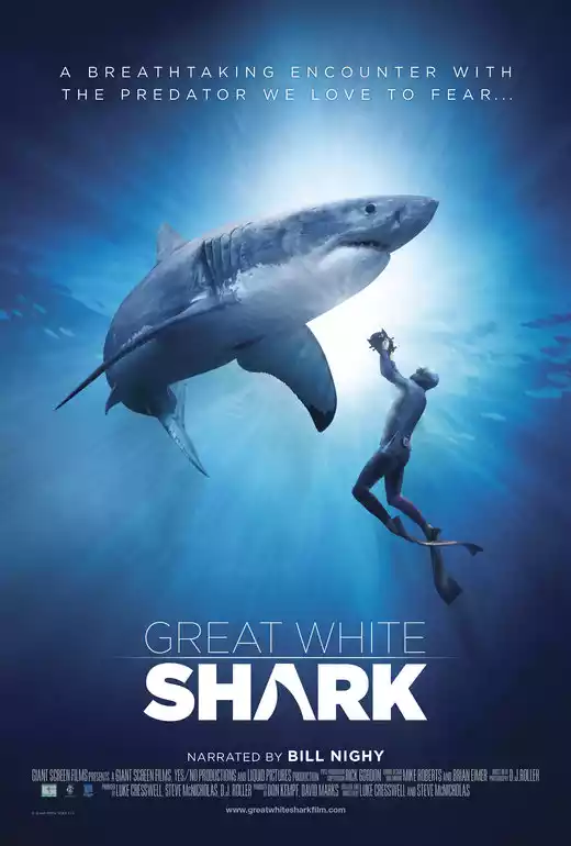 Great White Shark (2013) 4k
