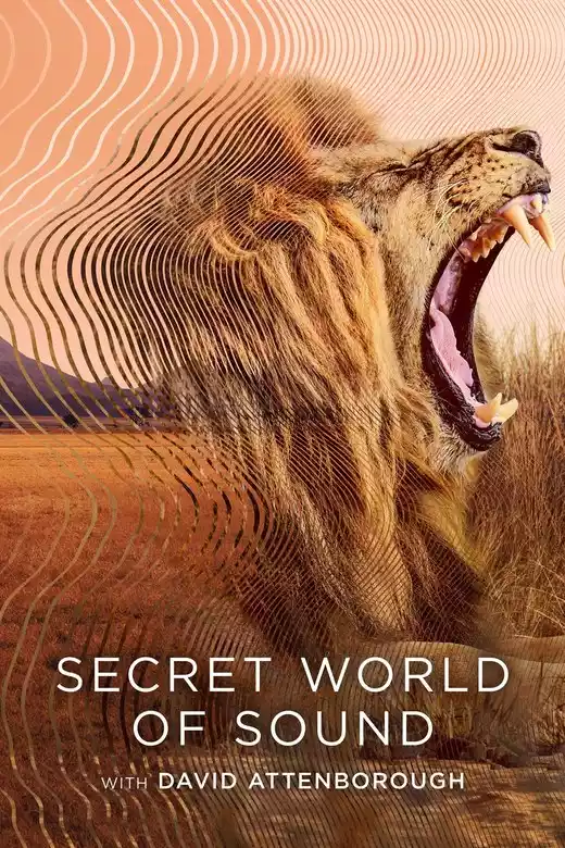 Secret World of Sound with David Attenborough (2024) 4k