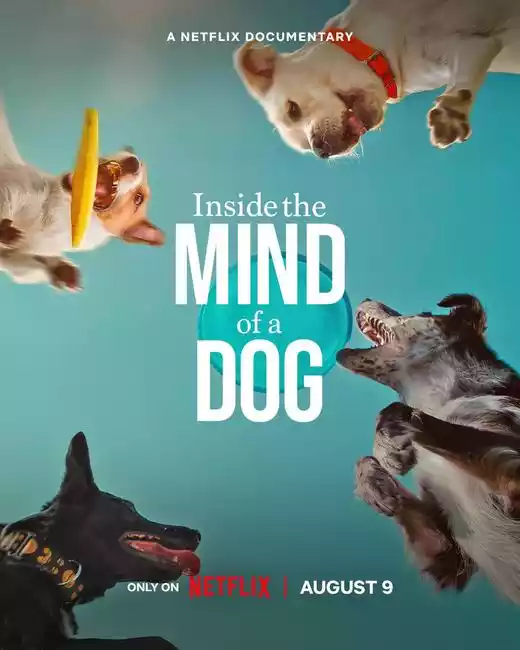 Inside the Mind of a Dog (2024) 4k