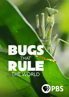 Bugs That Rule the World (2025) 4k
