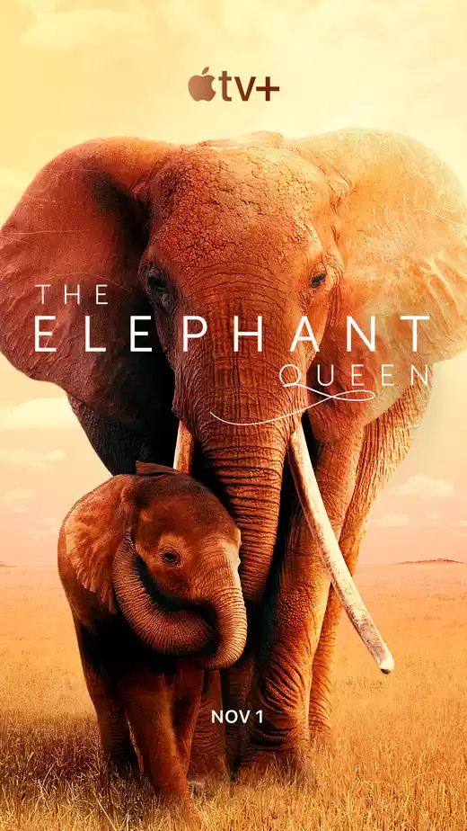 The Elephant Queen (2018) 4k