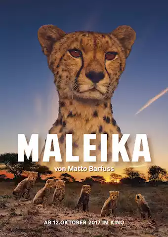 Maleika (2017) 4k