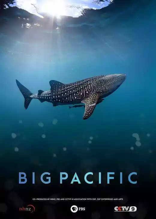 Big Pacific (2017) 4k