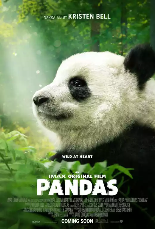 Pandas (2018) 4k