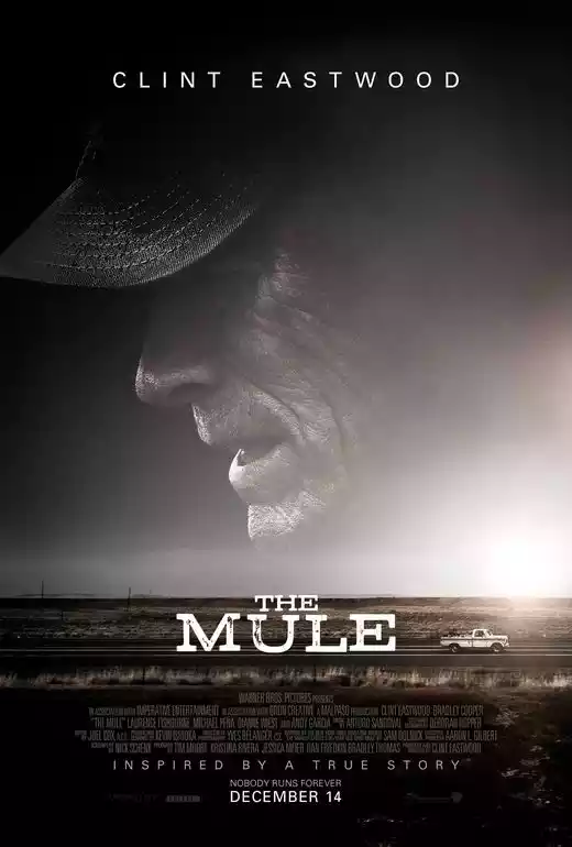 The Mule (2019) 4k