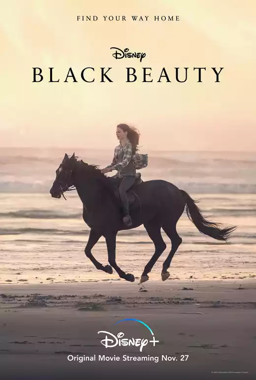 Black Beauty (2020) 4k