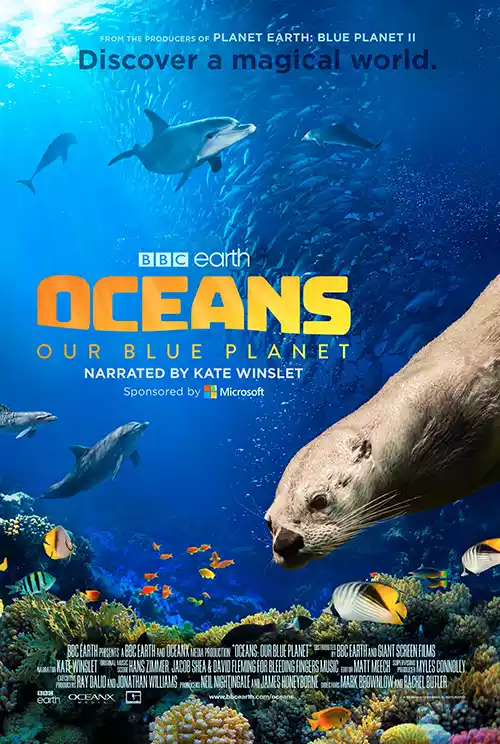 Oceans: Our Blue Planet (2018) 4k