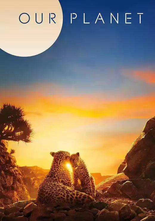 Our Planet (2019) 4k